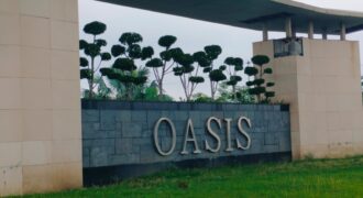 Oasis