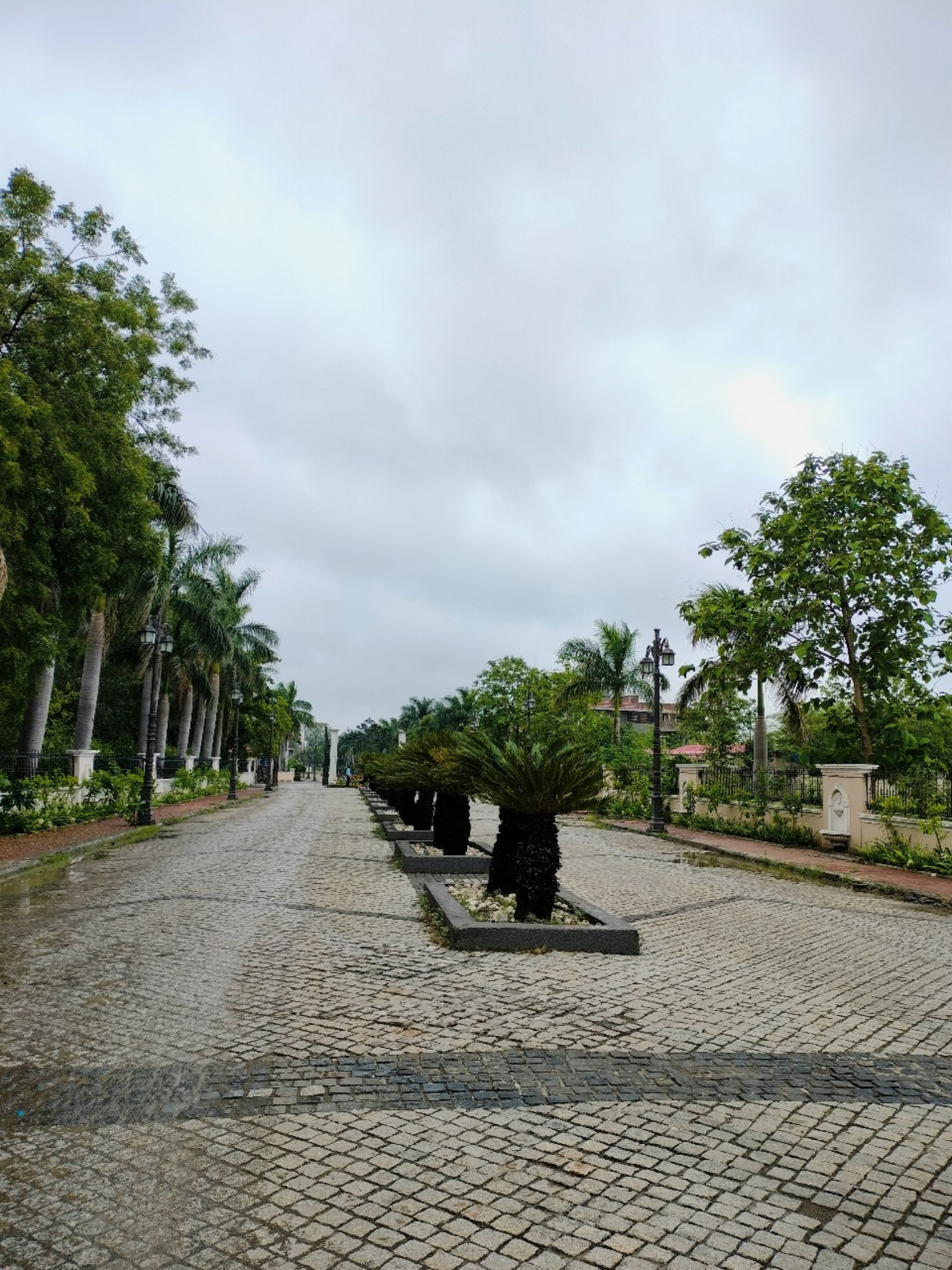 41bbaf79-31b0-4ab0-834d-1d042a759666