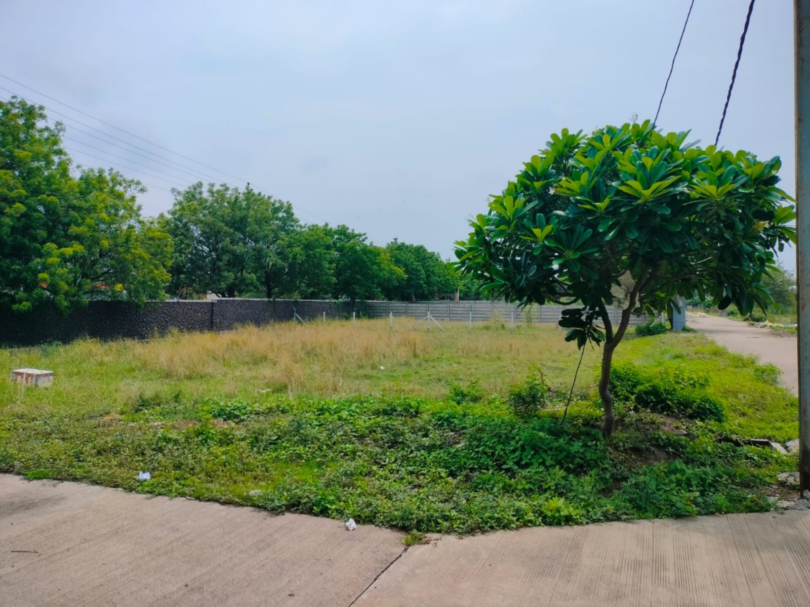 d5147095-6533-47a4-8478-99ff7ae90763