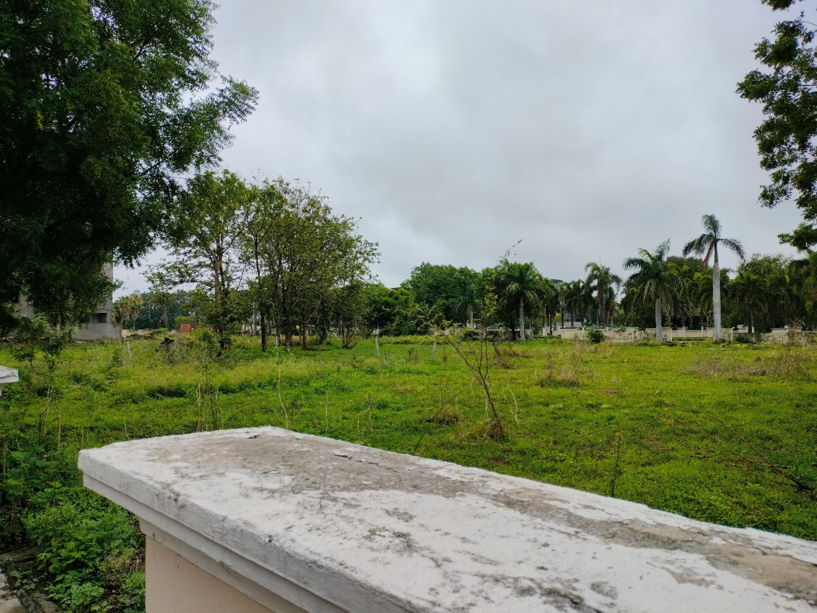 d8cec71e-a886-41ab-965b-b3d58aee640c